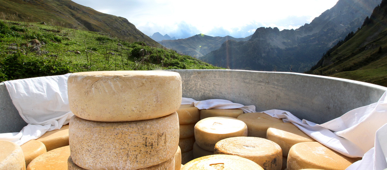 pirineos-franceses-la-ruta-del-queso-por-el-vall-dossaou