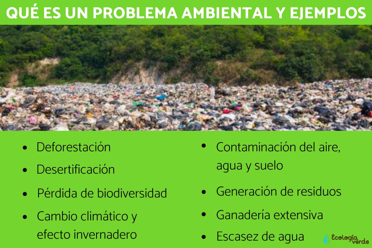 que-son-los-problemas-ambientales-3-ejemplos